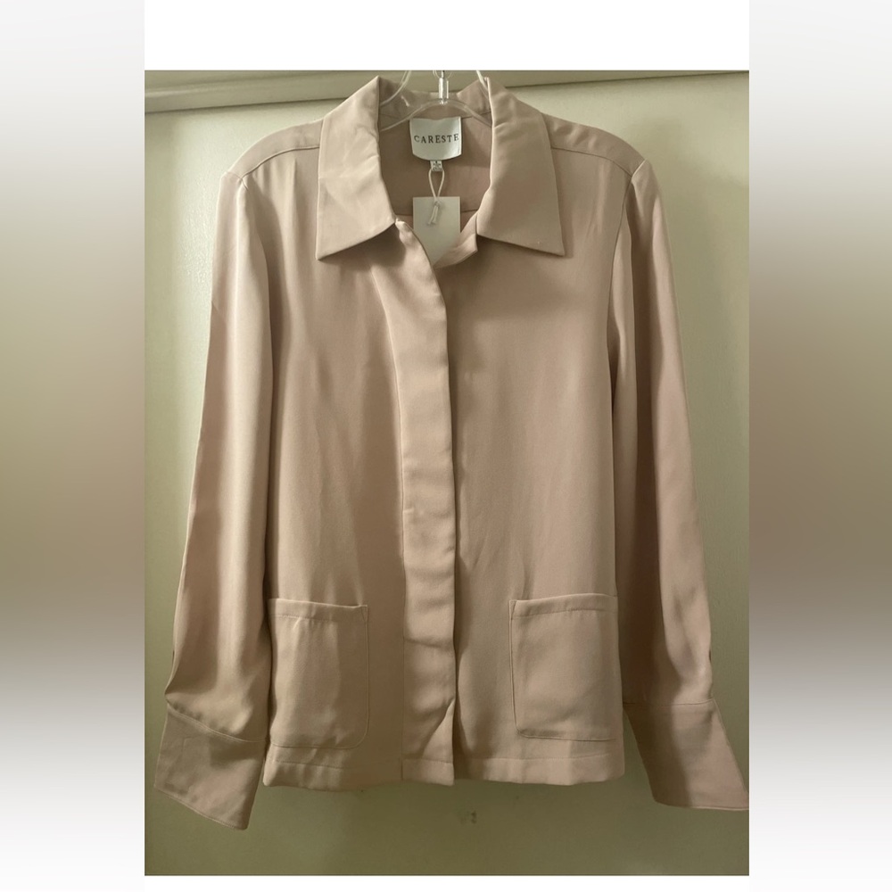 careste light pink silk shirt sz 6